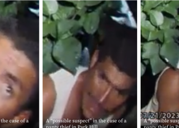 Park Hill panty thief is still on the loose